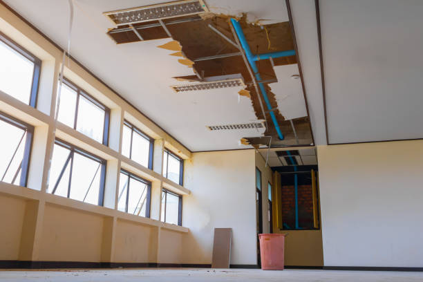 Best Ceiling water damage repair  in Willmar, MN