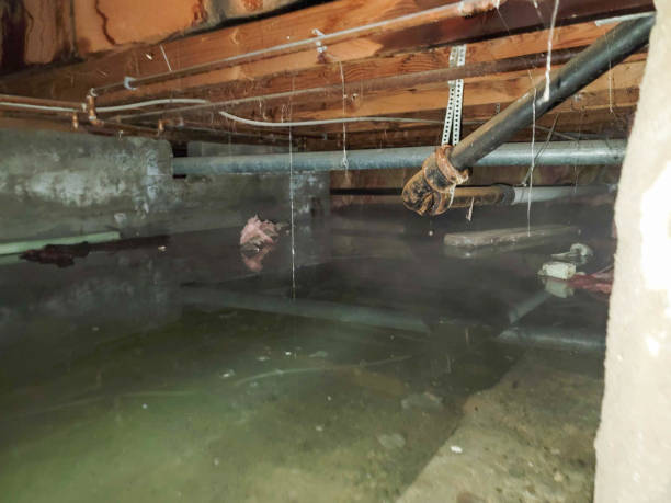 Best Emergency water damage restoration  in Willmar, MN