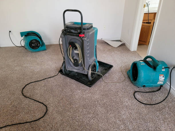 Best Flood restoration services  in Willmar, MN