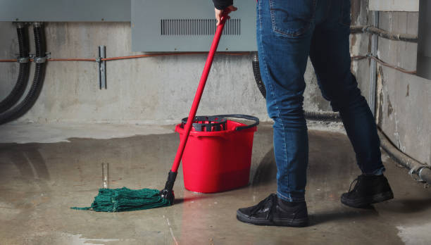 Best Local water damage restoration  in Willmar, MN