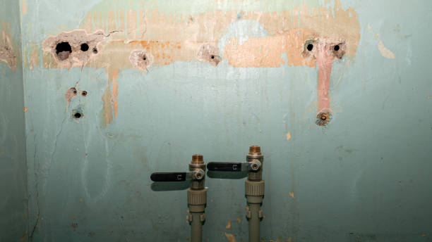 Best Water damage restoration insurance claims  in Willmar, MN