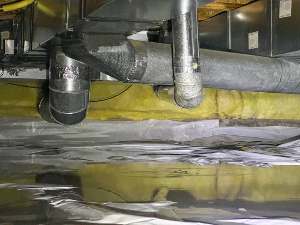 Best 24-hour water damage restoration  in Willmar, MN