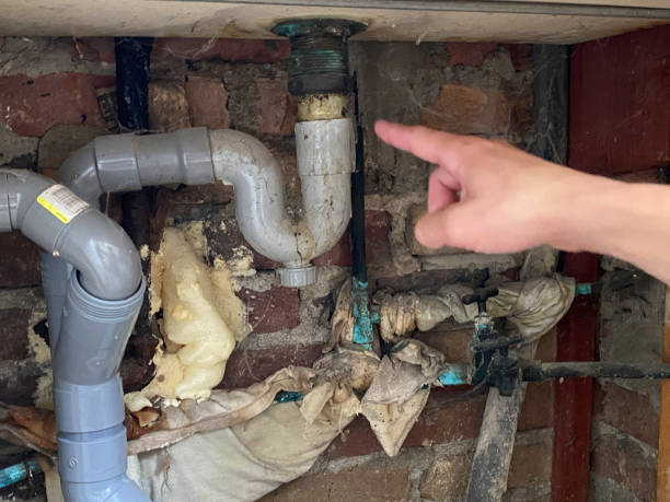 Best Sewage cleanup and water damage restoration  in Willmar, MN
