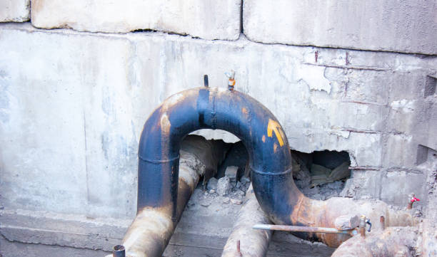 Best Water damage restoration process  in Willmar, MN