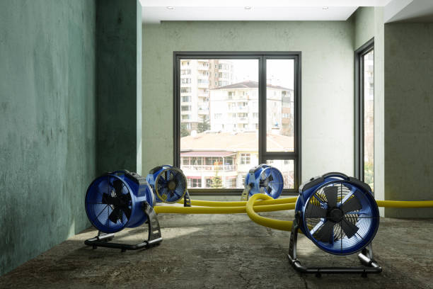 Best Sewage cleanup and water damage restoration  in Willmar, MN