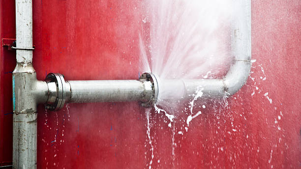 Best Water damage contractors near me  in Willmar, MN